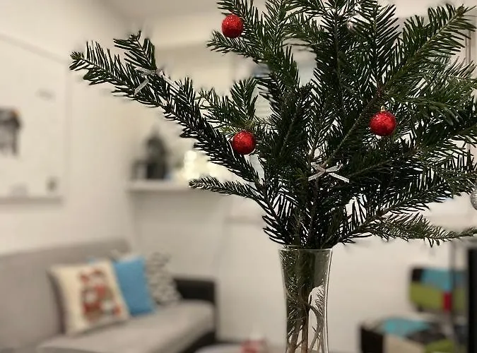 Apartment Banana Youth *